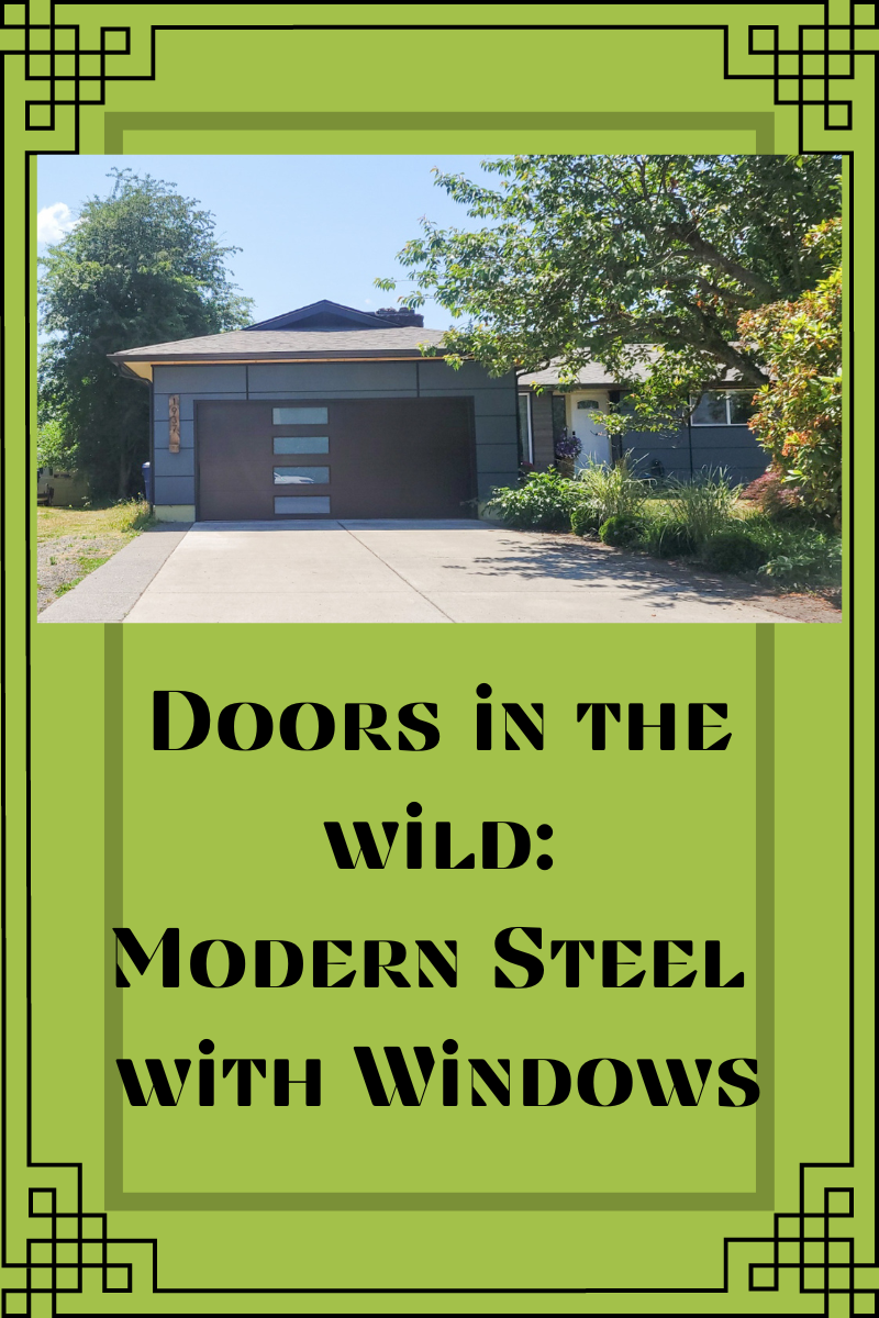 Doors in the Wild Modern Steel With Windows
